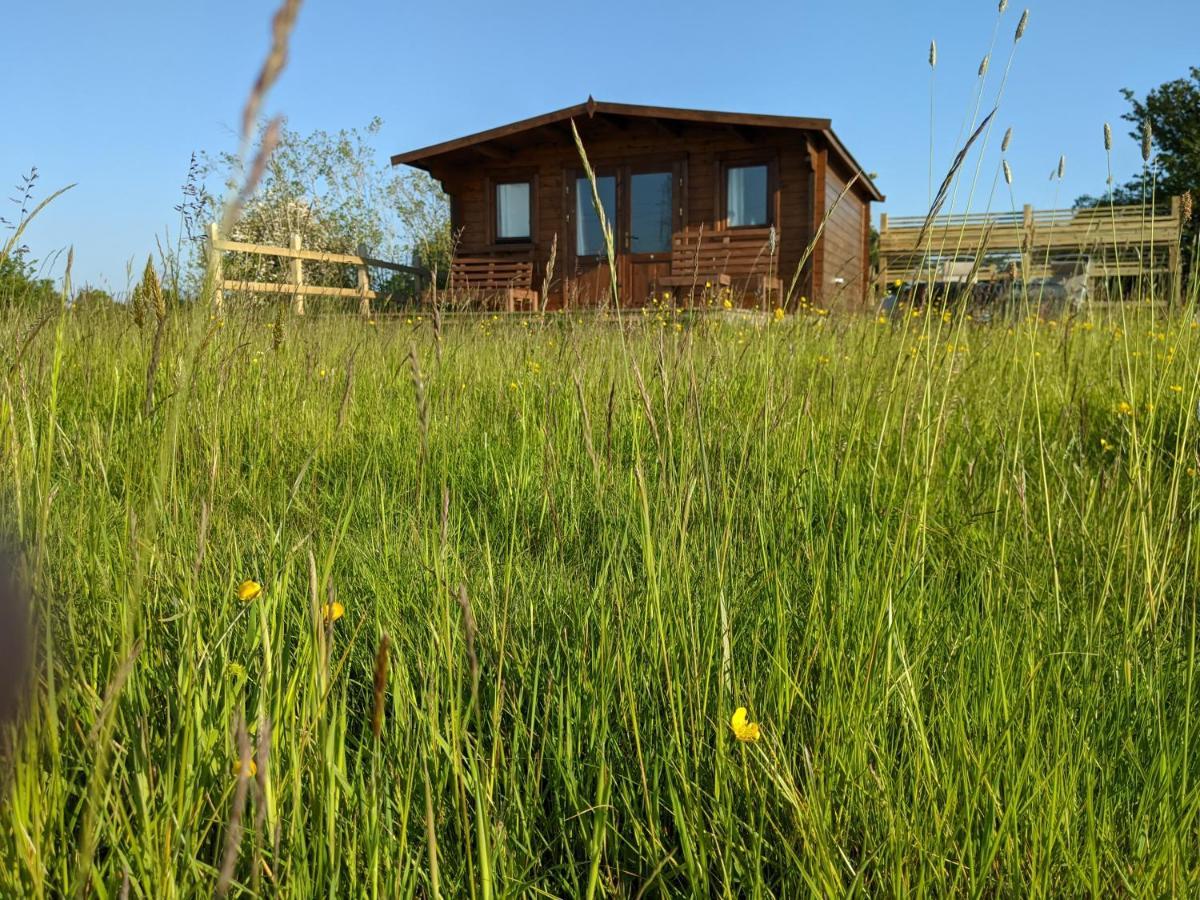 Foxhill Lodges Canterbury Exterior foto